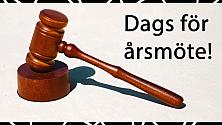 Årsmöte